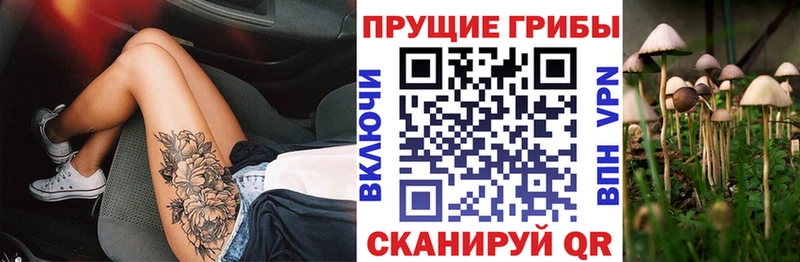 Галлюциногенные грибы мицелий  Муром 